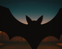 Flying Bat Wall Decor – Wide Wingspan Silhouette – Birch Plywood