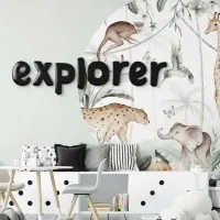Houten woord „Explorer” van berkenmultiplex – decoratieve letters